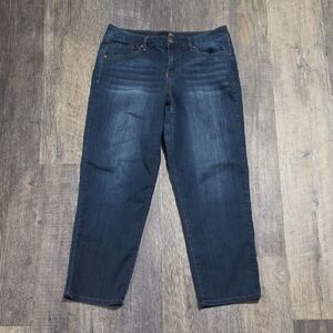 1822 Denim Women's Size 10 Short Straight  Dark Wash